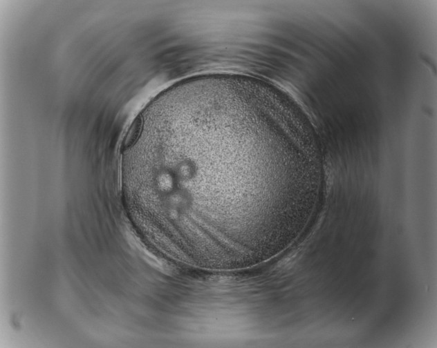 X0000103161371200809051650