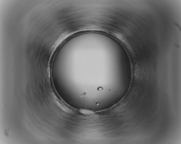 X0000103161372200809051650