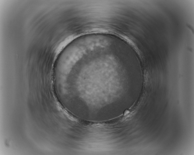 X0000103161373200809051650