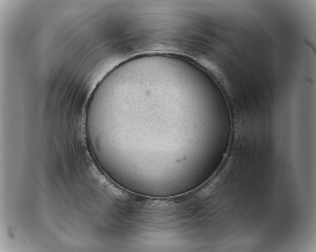 X0000103161374200809051650