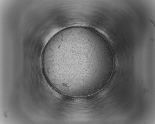 X0000103161375200809051650