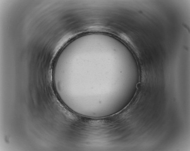 X0000103161376200809051650