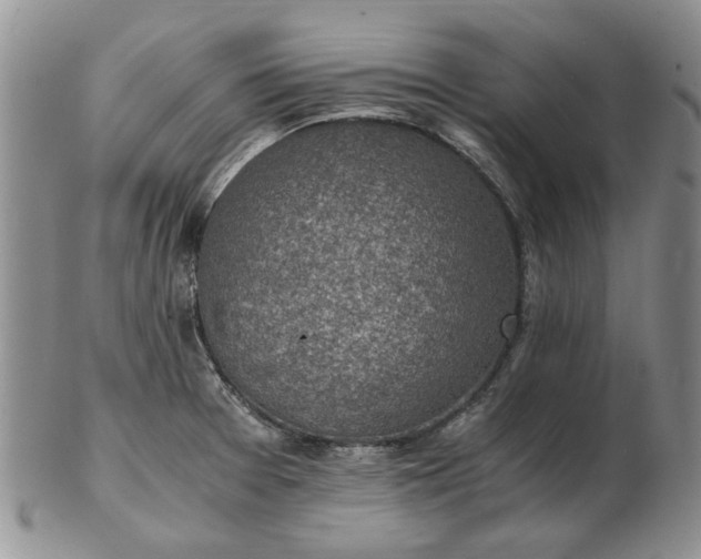 X0000103161377200809051650