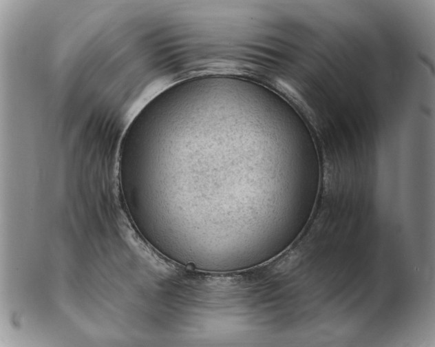 X0000103161378200809051650