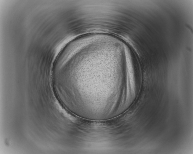 X0000103161379200809051650