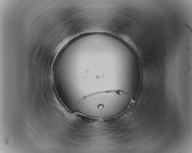 X0000103161380200809051650