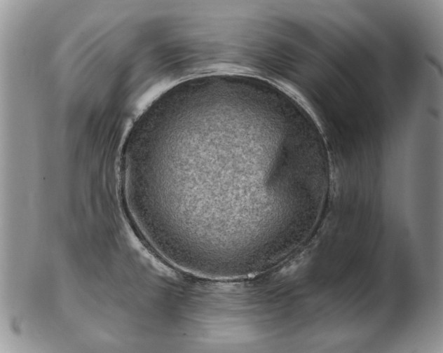 X0000103161381200809051650