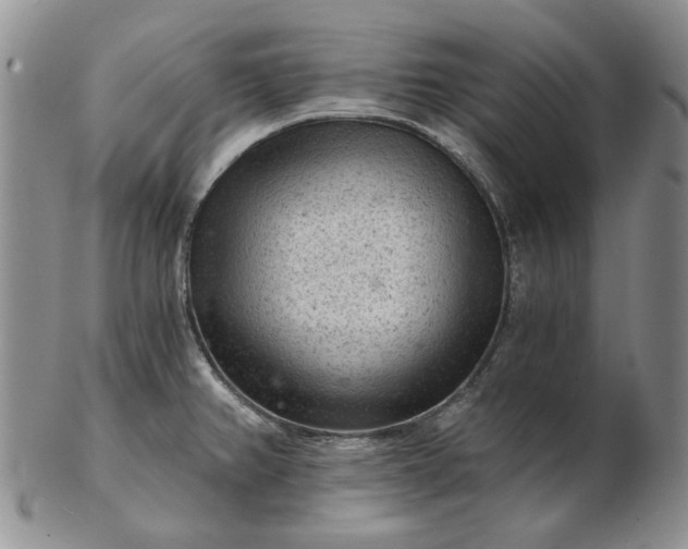 X0000103161382200809051650