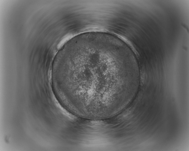 X0000103161383200809051650