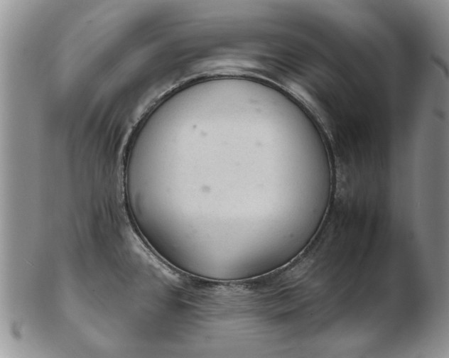 X0000103161384200809051650