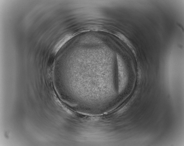 X0000103161385200809051650