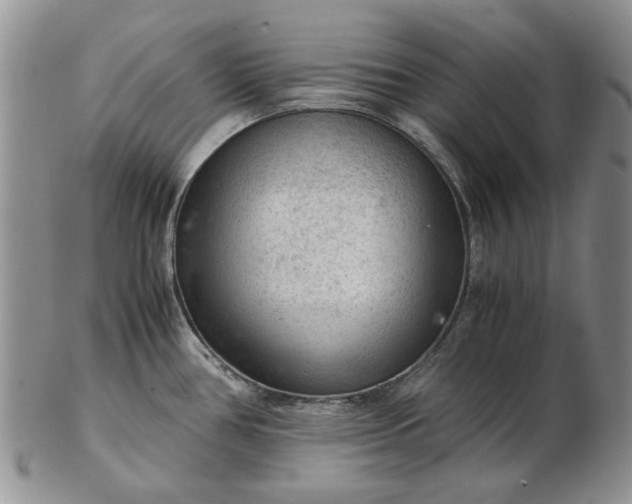 X0000103161386200809051650