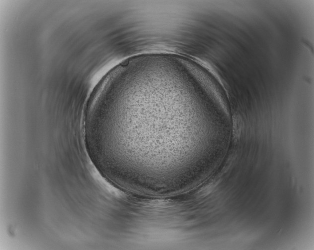 X0000103161387200809051650