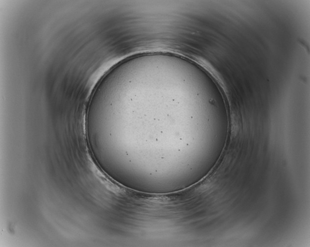 X0000103161388200809051650