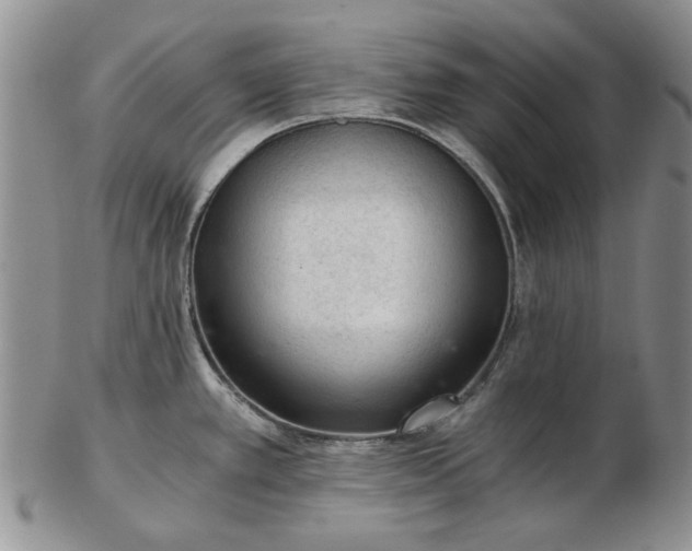 X0000103161389200809051650