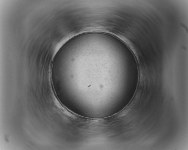 X0000103161390200809051650