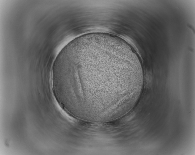 X0000103161391200809051650