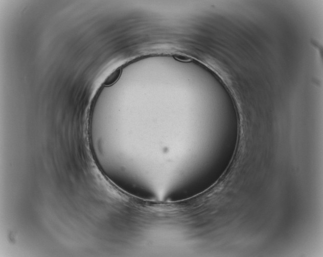 X0000103161392200809051650