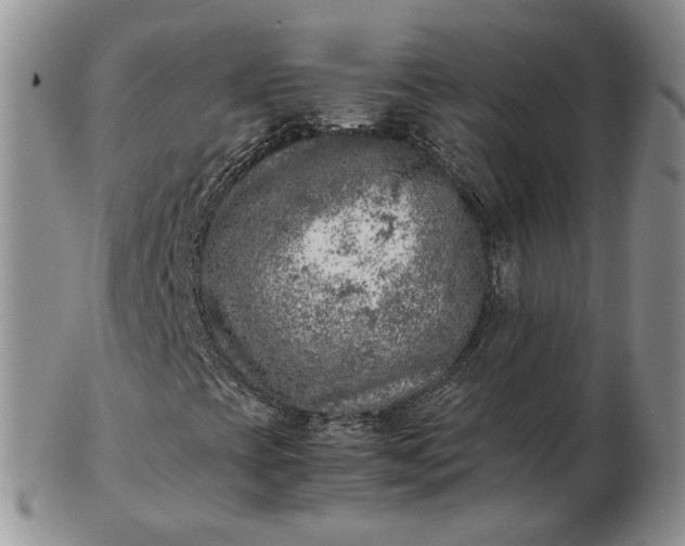 X0000103161393200809051649