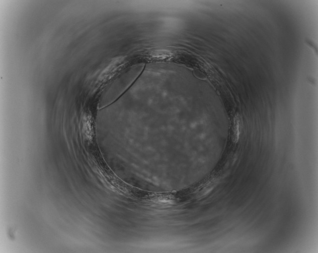 X0000103161394200809051649