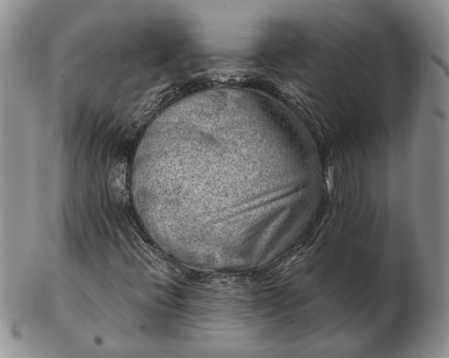 X0000103161396200809051649