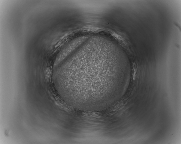 X0000103161397200809051649