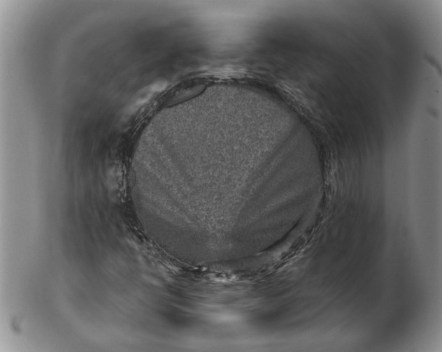 X0000103161398200809051649