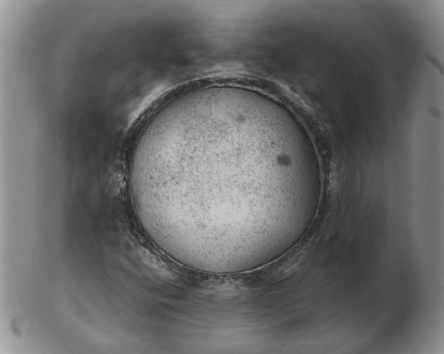 X0000103161400200809051649