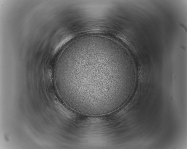 X0000103161402200809051649