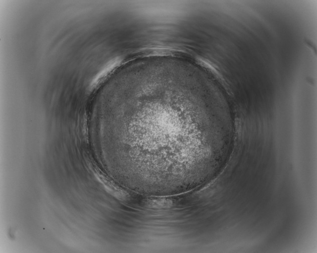 X0000103161403200809051649