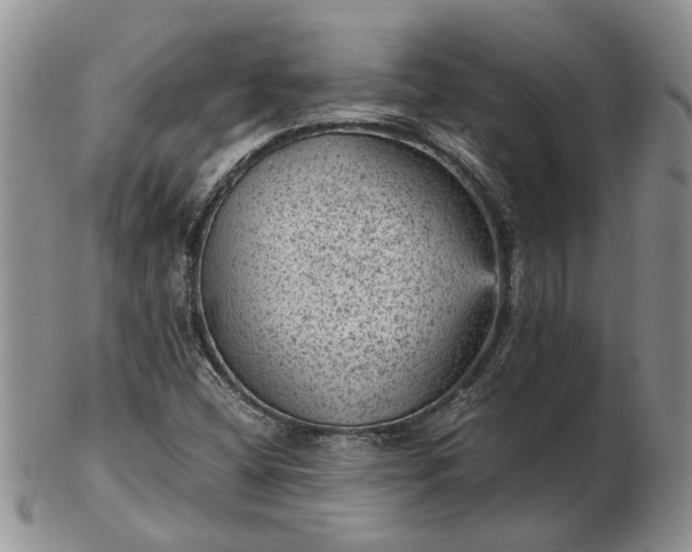 X0000103161404200809051649