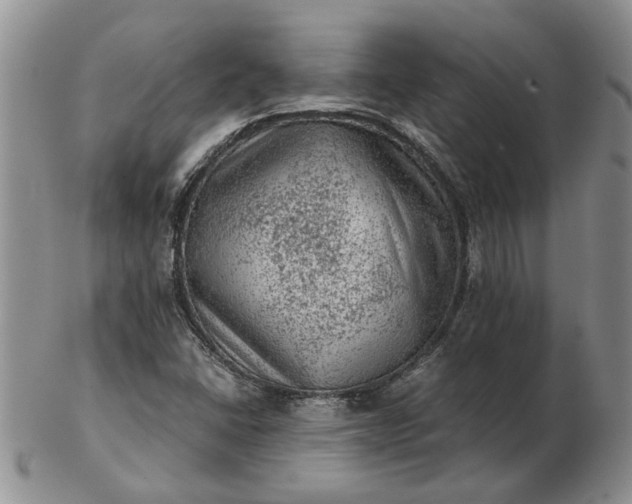 X0000103161406200809051649