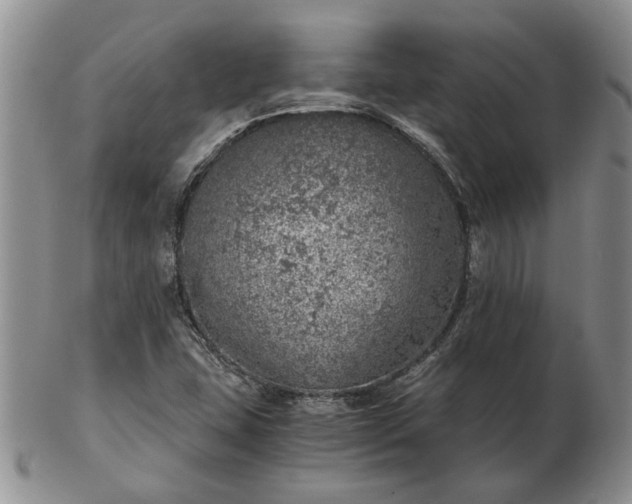 X0000103161407200809051649