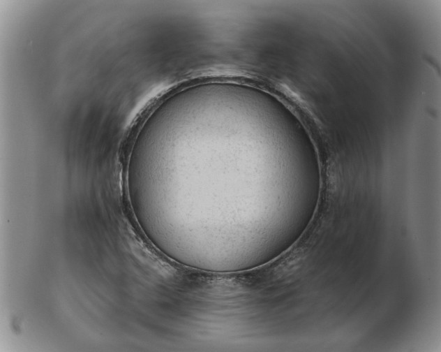 X0000103161408200809051649