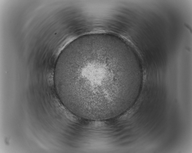 X0000103161409200809051649