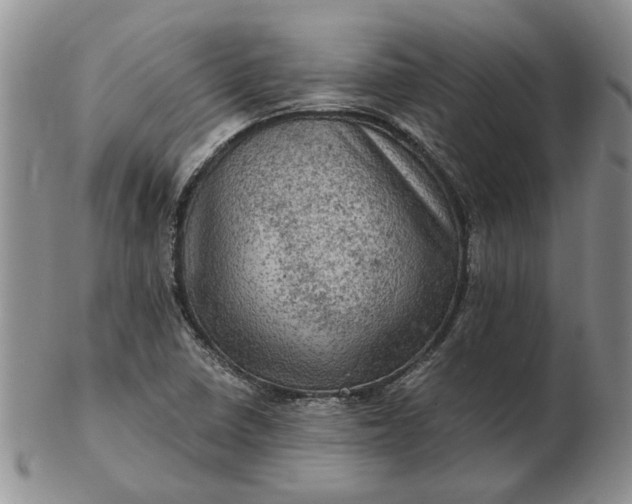 X0000103161410200809051649