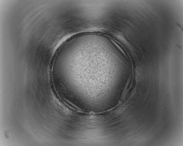 X0000103161412200809051649