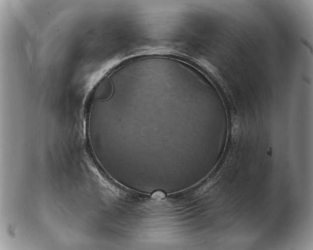 X0000103161414200809051649