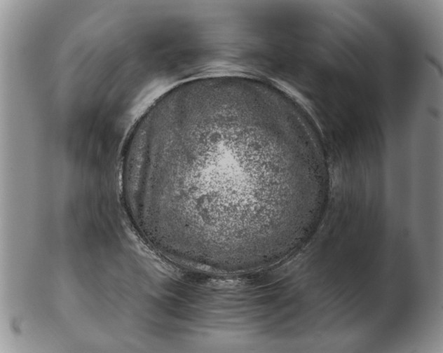 X0000103161415200809051649