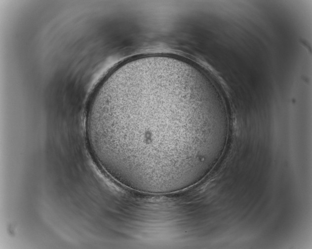 X0000103161416200809051649