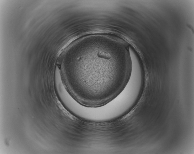 X0000103161417200809051649