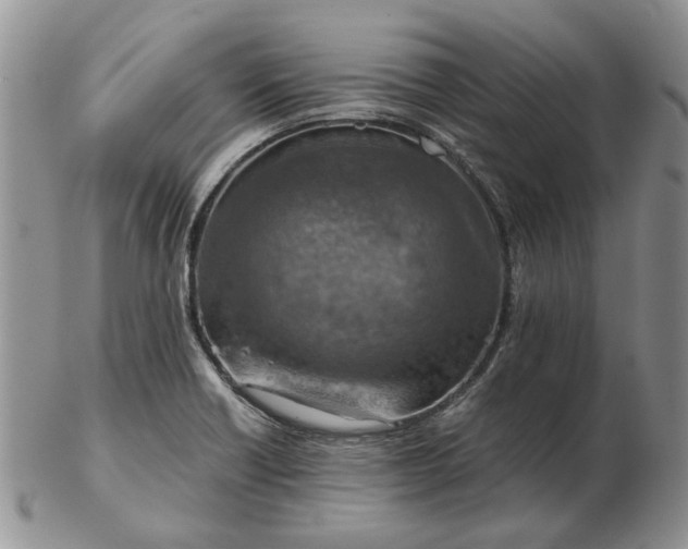 X0000103161418200809051649