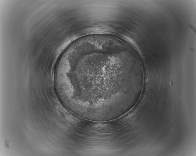 X0000103161419200809051649