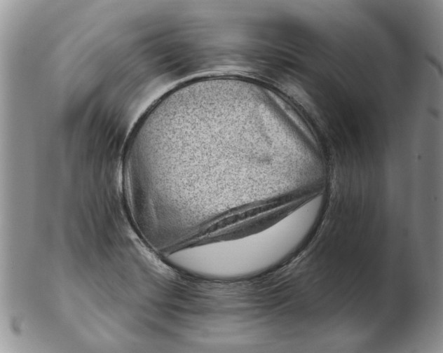 X0000103161420200809051649