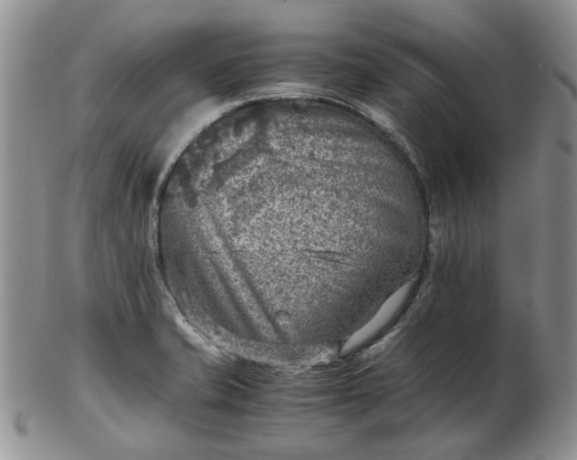 X0000103161421200809051649