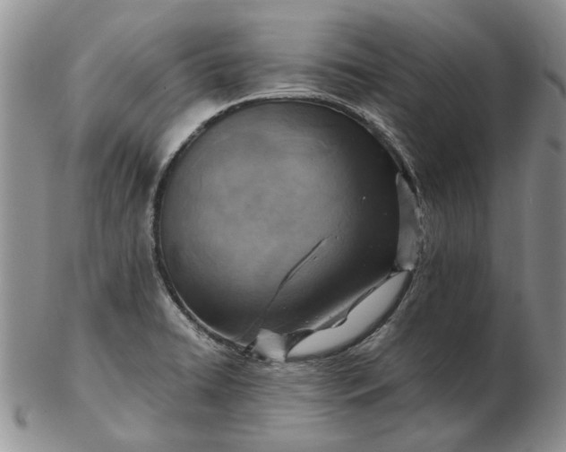 X0000103161422200809051649