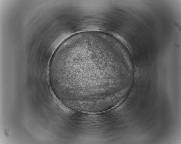 X0000103161423200809051649