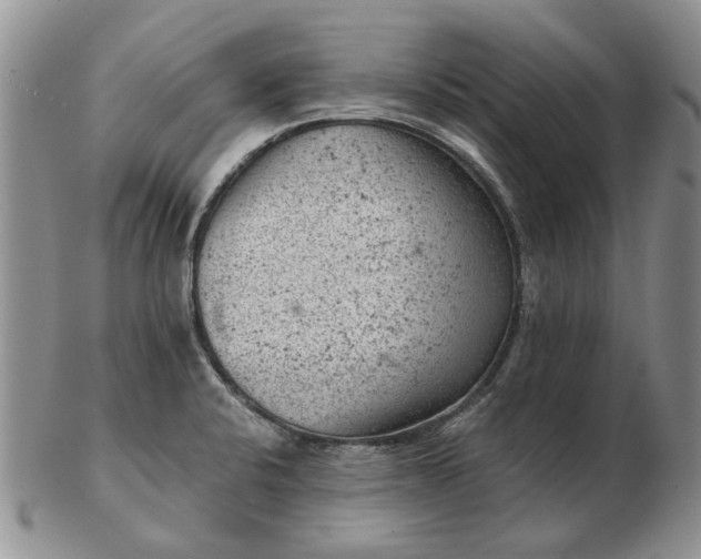 X0000103161424200809051649