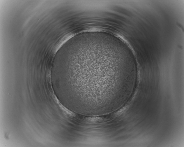 X0000103161425200809051649