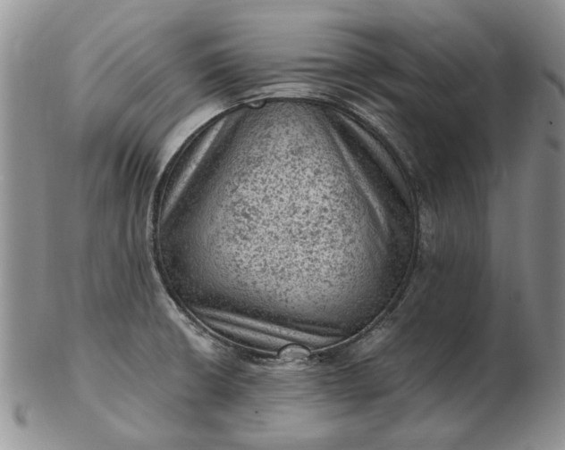 X0000103161426200809051649